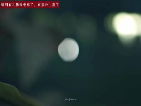 慕容清峄你听到lp有给你准备礼物就这样变脸,恨也忘了,只剩下为什么