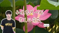 伴张艺兴爱莲说赏北京荷花