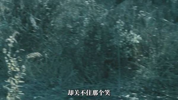 顶级外科医生黑化!用七天拆掉杀女凶手!