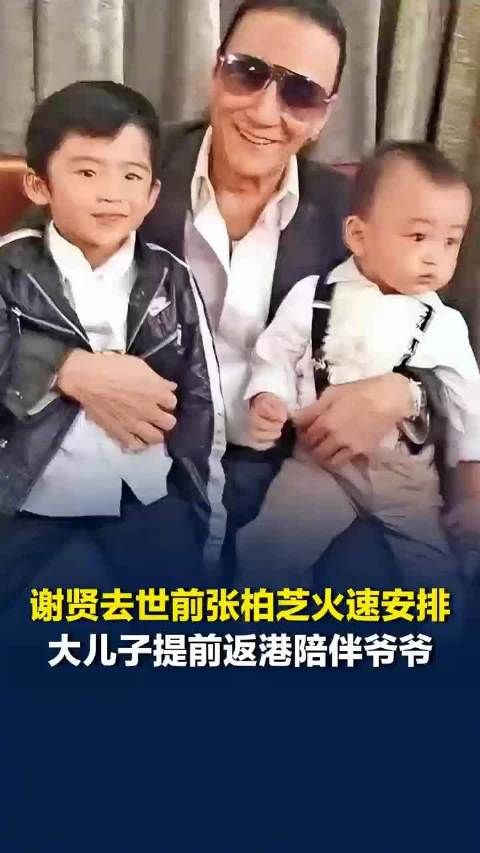 谢贤去世前张柏芝安排大儿子陪伴,谢贤曾称只认张柏芝一个儿媳