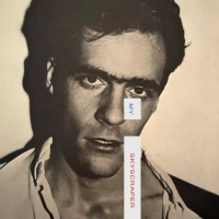 Pitchfork 的年度最高分专辑！