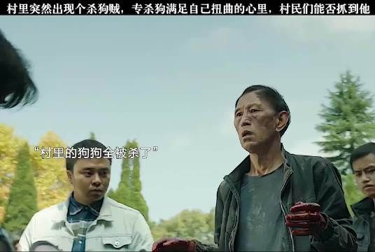这天杀的偷狗贼,最后能不能被抓住?