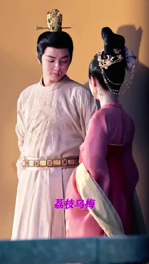 荔枝乌梅是真正的嫡嫡道道 盛世天下 甄嬛传 李治 武则天