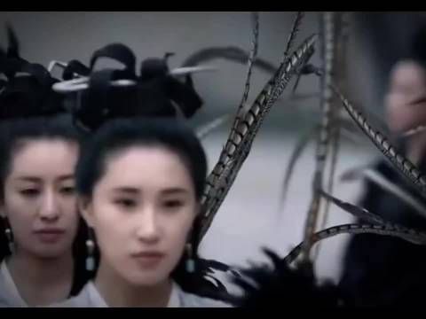 流俗地主演刘诗诗和陈伟霆