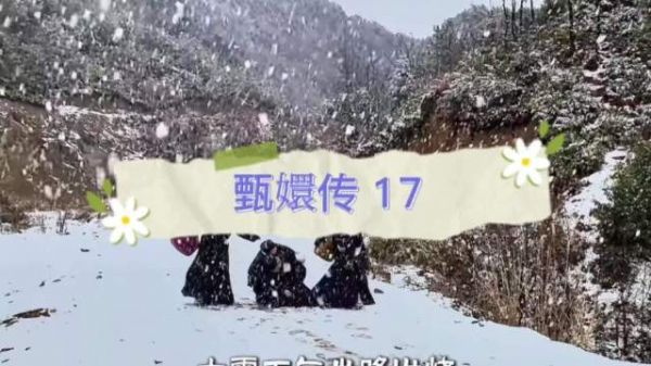 凌云峰大雪甄嬛卧病，果郡王风雪奔赴暖意