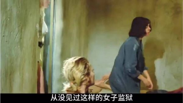 女子监狱设荒岛，男狱警主动加班不想回家