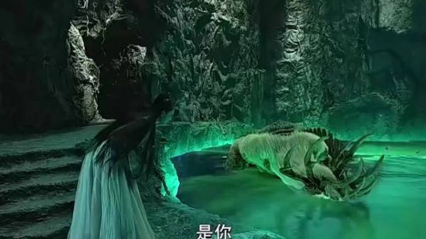 万物皆有灵，你救我一命我护你一生