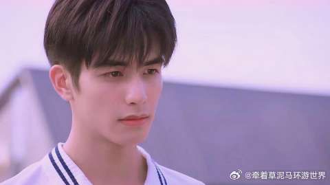 宋茜都沉迷的男人,是小狼狗还是小奶狗由你来定