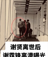 谢霆锋丧父后首露面！同行者身份被扒，谨遵谢贤嘱托取消特别环节
