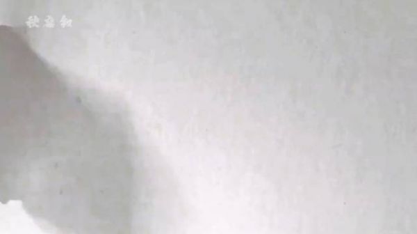 白鹿回眸镜头被称天选王韵娜，解约欢娱独挑大梁