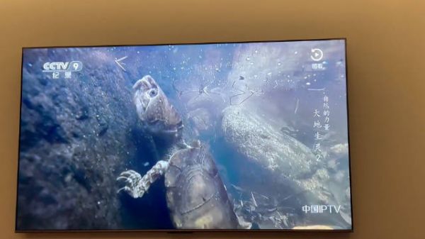 10大自然的力量～大地生灵十