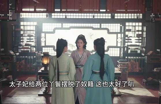 太子妃真是把丫鬟当亲人对待,好羡慕