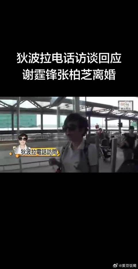 谢霆锋张柏芝原来婚内都已经闹成这样了，妈妈狄波拉都说锋芝婚内早就不合