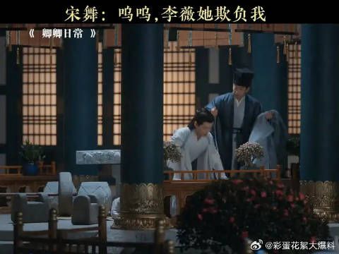 宋舞的演技主打一个无人相信