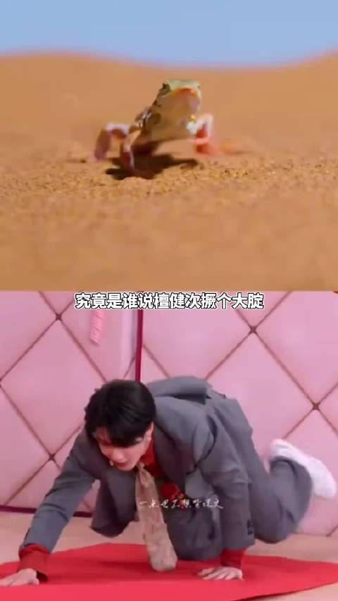 我笑晕在檀健次玩斜坡挑战游戏中！你好星期六