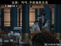 宋舞的演技主打一个无人相信