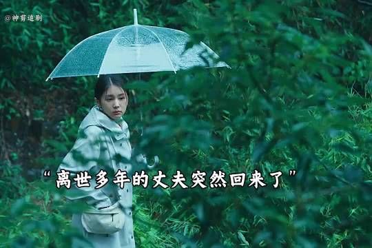 妻子突然撞见离世的丈夫回来，不料背后真相让人破防
