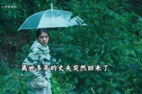 妻子突然撞见离世的丈夫回来，不料背后真相让人破防