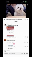 哈哈哈哈，都美睡醒真的要炸毛了