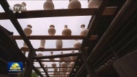 文化中国行丨千年窑火绽芳华