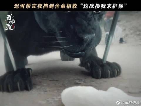 再也听不到迟雪叫的“宣夜”了 迟雪为护宣夜中剑 刘若谷