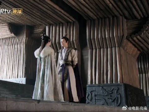 大阁领亲手养大的花正在保护自己