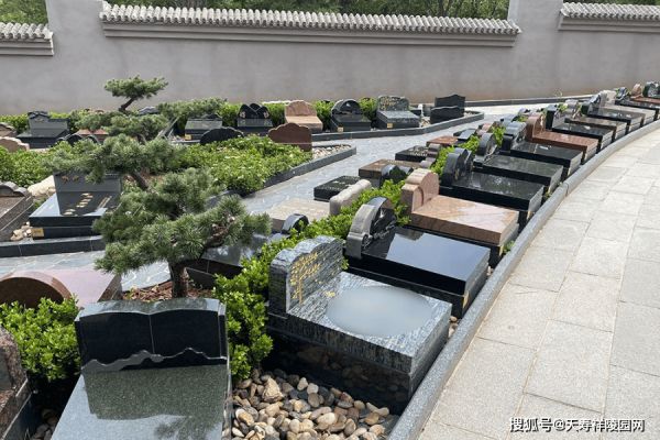 图片6.png