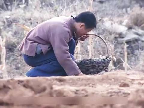 男孩只是捡了几颗空弹壳，没成想却被炮楼里的伪军打死