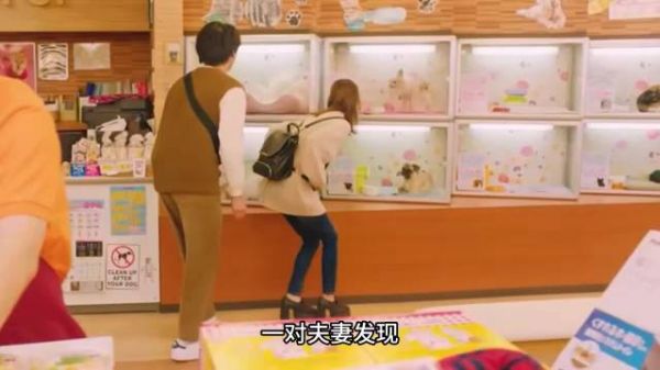 小猫因为长相无人领养，却因一条婚戒项链促成了双向救赎的相遇
