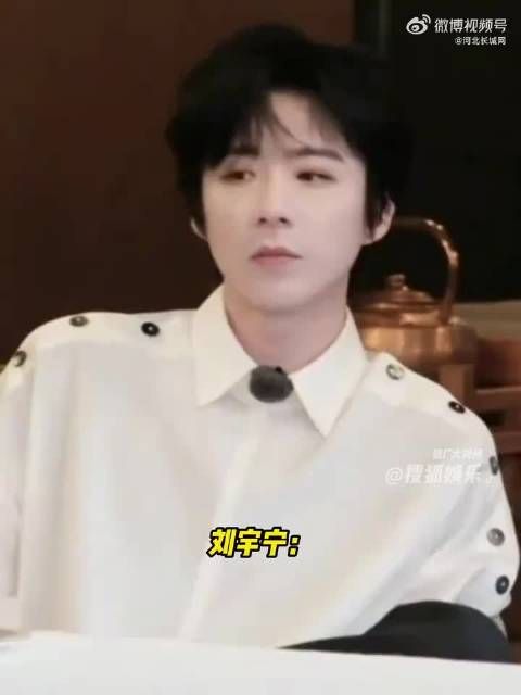 刘宇宁扮演宁瞅啥，自称我也妹有口音