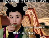 强者从不抱怨环境，宫女开局也能当上一品女官， 陆贞传奇 赵丽颖