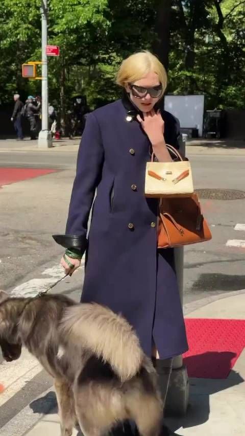 Alex Consani拍摄Tory Burch 2026秋冬广告大片幕后花絮,狗对着她撒尿