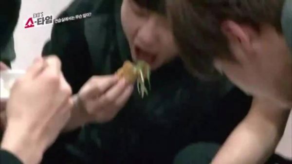 嘟嘟早期吃饭视频 好可爱的小狗狗吃饭