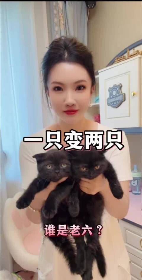 猜猜哪只是老六？哈哈哈哈哈哈