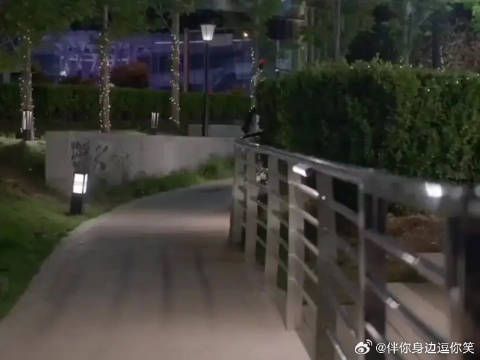 在遇见爱情却无法坚持的年纪金家骏和佳佳还是选择互相双向奔赴