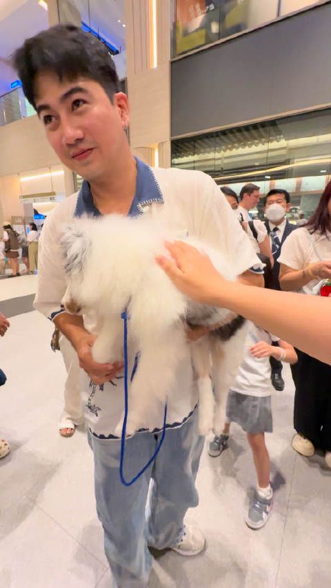 我摸小珍弟 小珍弟爪子划水 萌翻了