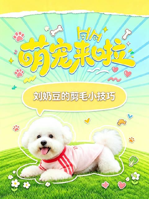 刘奶豆:我剪毛,主打一个随缘