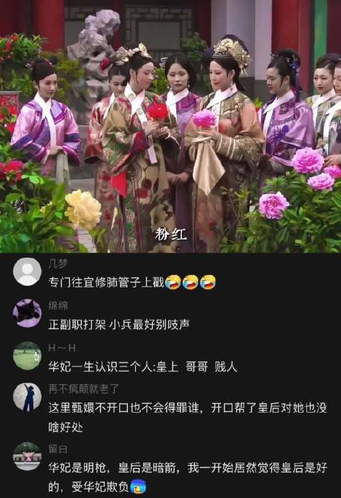 甄嬛传：“其实只要人年轻 簪什么花还要分颜色吗”