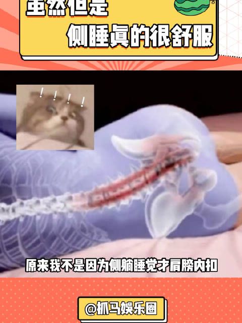 爱侧睡的我轻轻的碎了