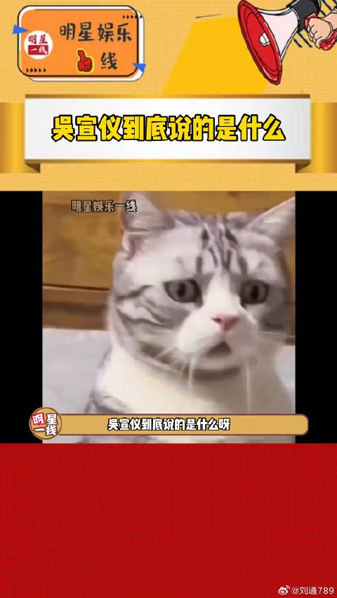 吴宣仪 ，你听的出来吴宣仪到底说的啥吗？
