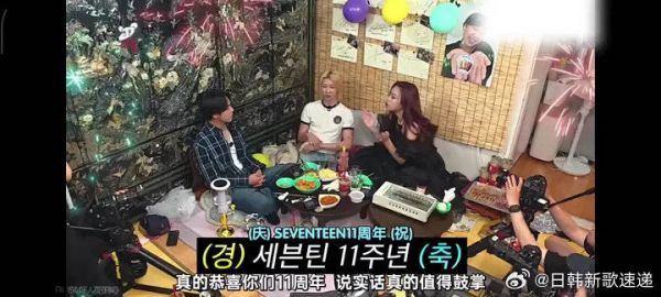 欧尼完全说到我心里面了 真的没有人比SVT更爱SVT了