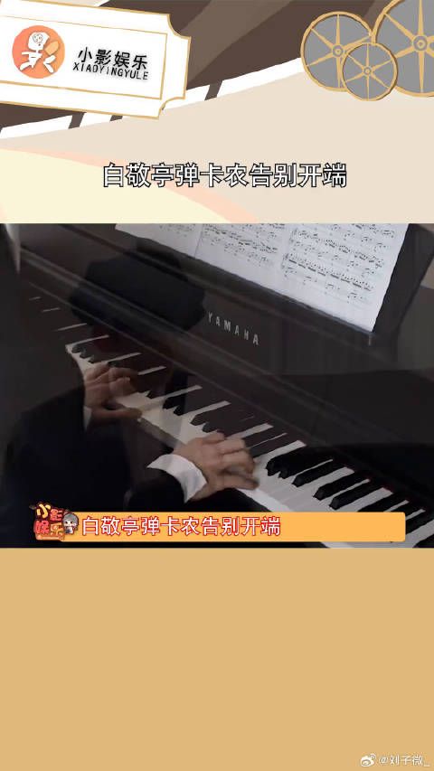 白敬亭弹卡农告别开端，难道看到小白这么正经，期待更多更好的作品