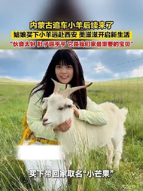 美滋滋开启新生活