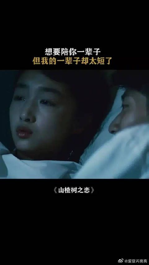 男孩想要陪她一辈子，但是自己的一辈子却太短了