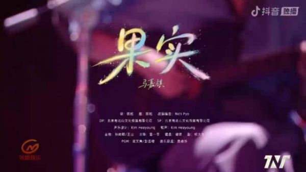 马嘉祺时代少年团上海演唱会day3吉他弹唱《果实》solo舞台
