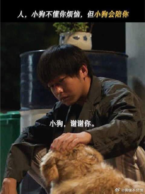 小狗最好的伙伴，也是最好的陪伴