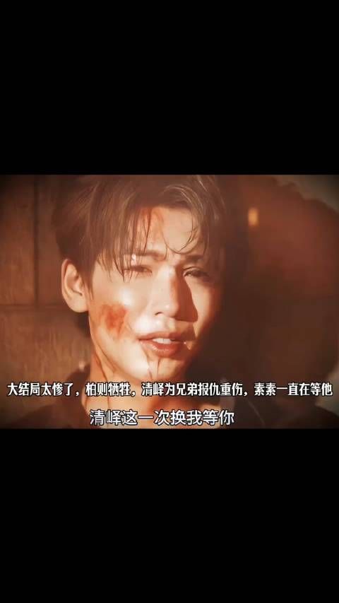 大结局太惨了，柏则牺牲，清峄为兄弟报仇重伤，素素一直在等他回来