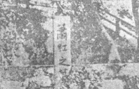 萧红遗言死后葬在鲁迅墓旁，许广平写悼文抱怨，4份遗嘱一生不甘