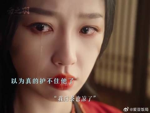 这次换云为衫来保护宫子羽