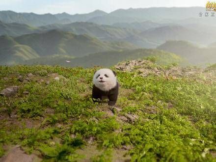 愿你亦能邂逅，那只名为“鼓励”的蝶影熊猫计划之部落奇遇记 乔杉